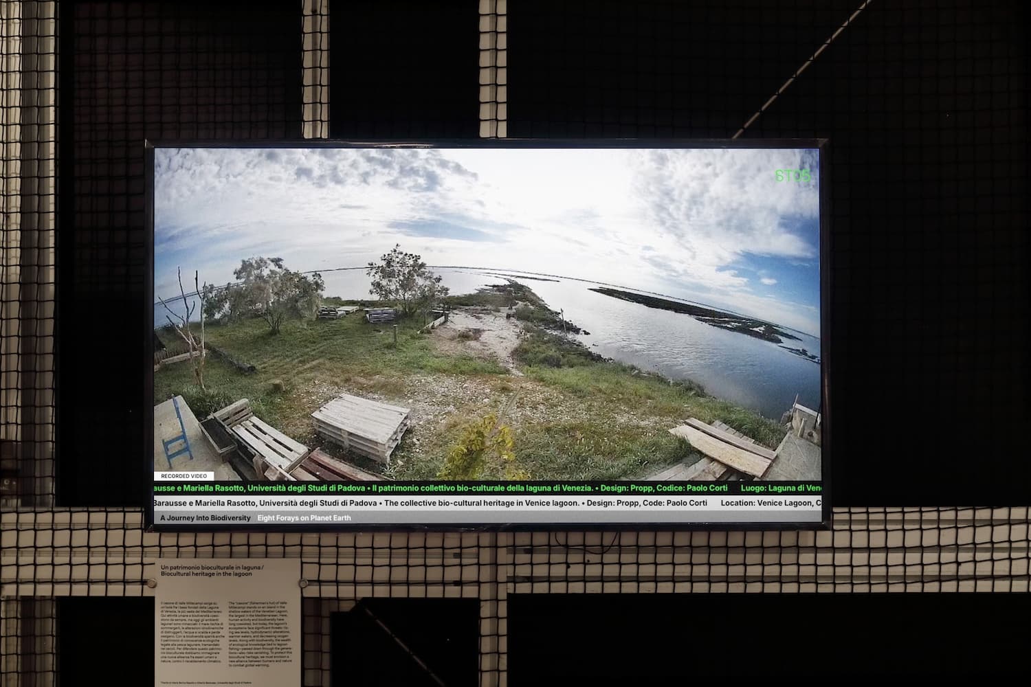 Biodiversity installation