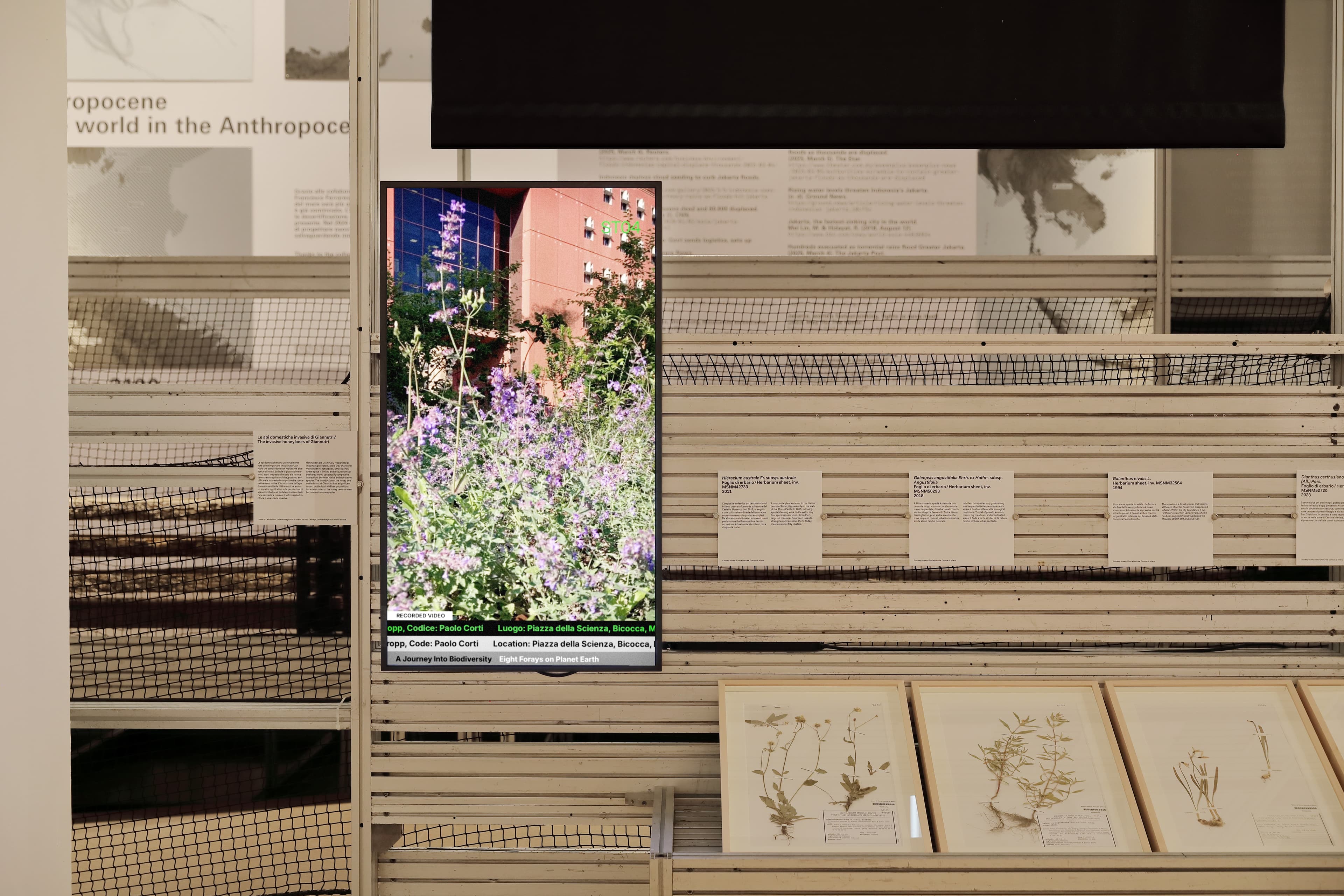 A Journey into Biodiversity